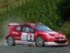 206 GTI (WRC)