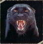 Pantera147jtd