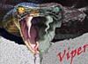 Viper79
